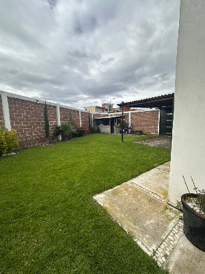 Imagen23